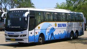 ডলফিন পরিবহন মদুনা ঘাট কাউন্টার - 01823512483