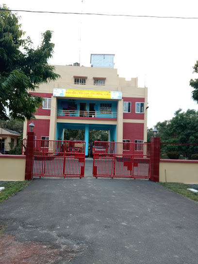 ফায়ার সার্ভিস ও সিভিল ডিফেন্স কালিগঞ্জ - 01901022800