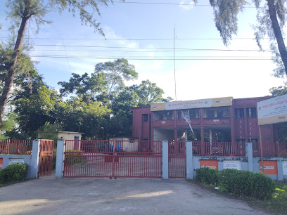 ফায়ার সার্ভিস ও সিভিল ডিফেন্স বোরহানউদ্দিন - ।